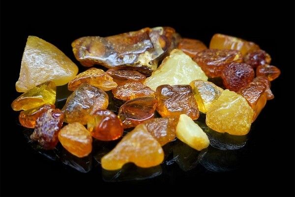 Example of a natural Amber mined in Latvia