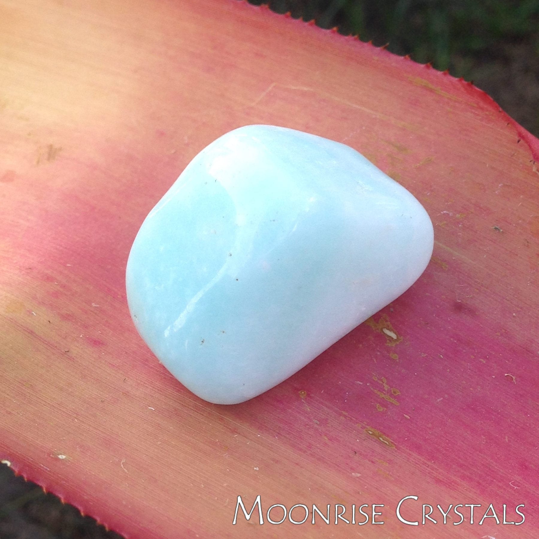 Blue Aragonite on a pink leaf