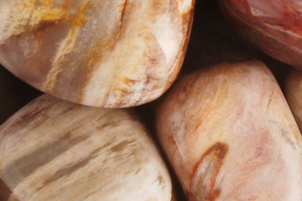 Close up of tumbled Petrified