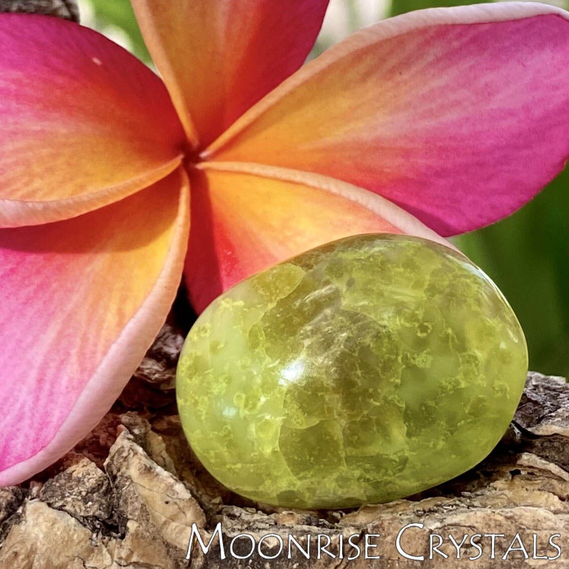 Green Opal with pink plumeria flower