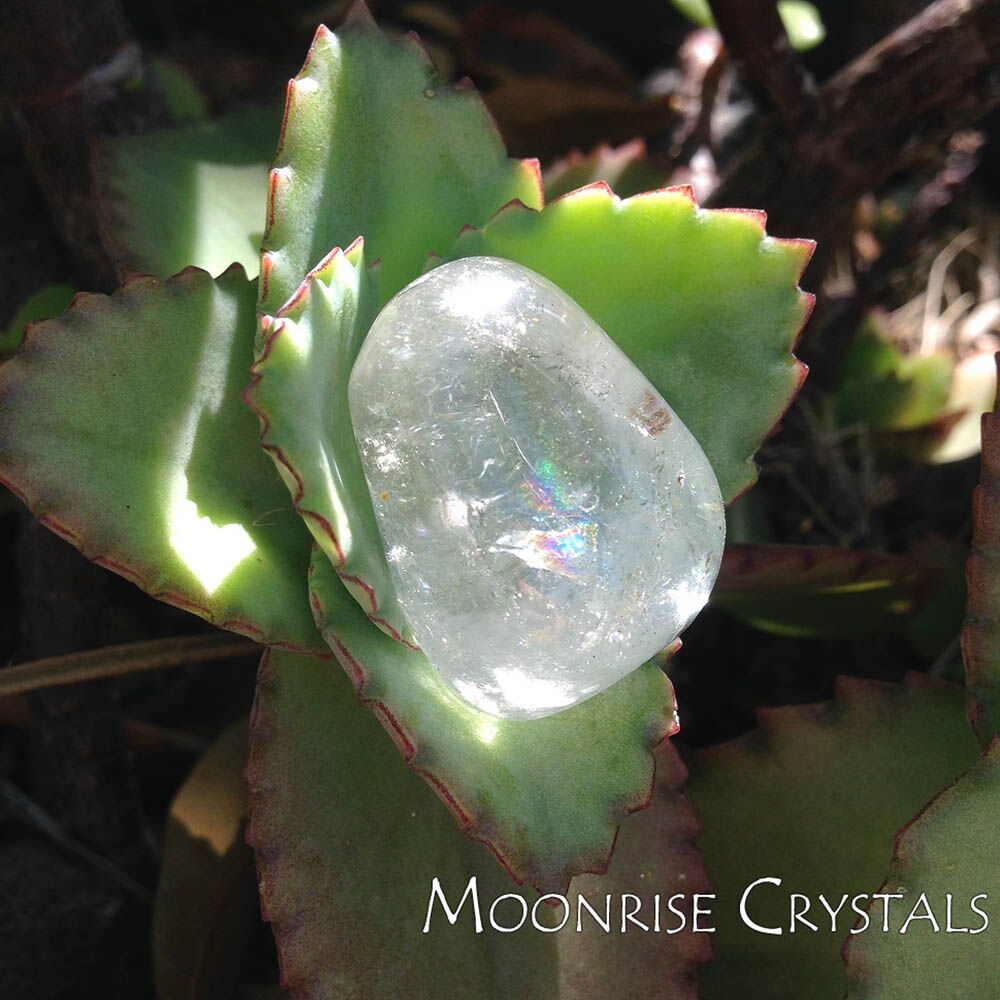 Clear white Topaz with a rainbow inside, sitting with a plant half in shade, half in sun