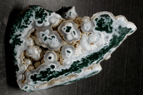 Example of a natural Tree Agate mined in USA