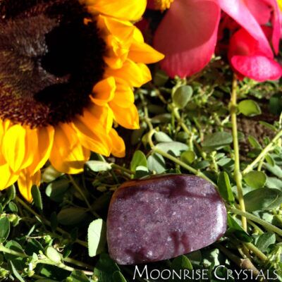 Lepidolite with a sunflower
