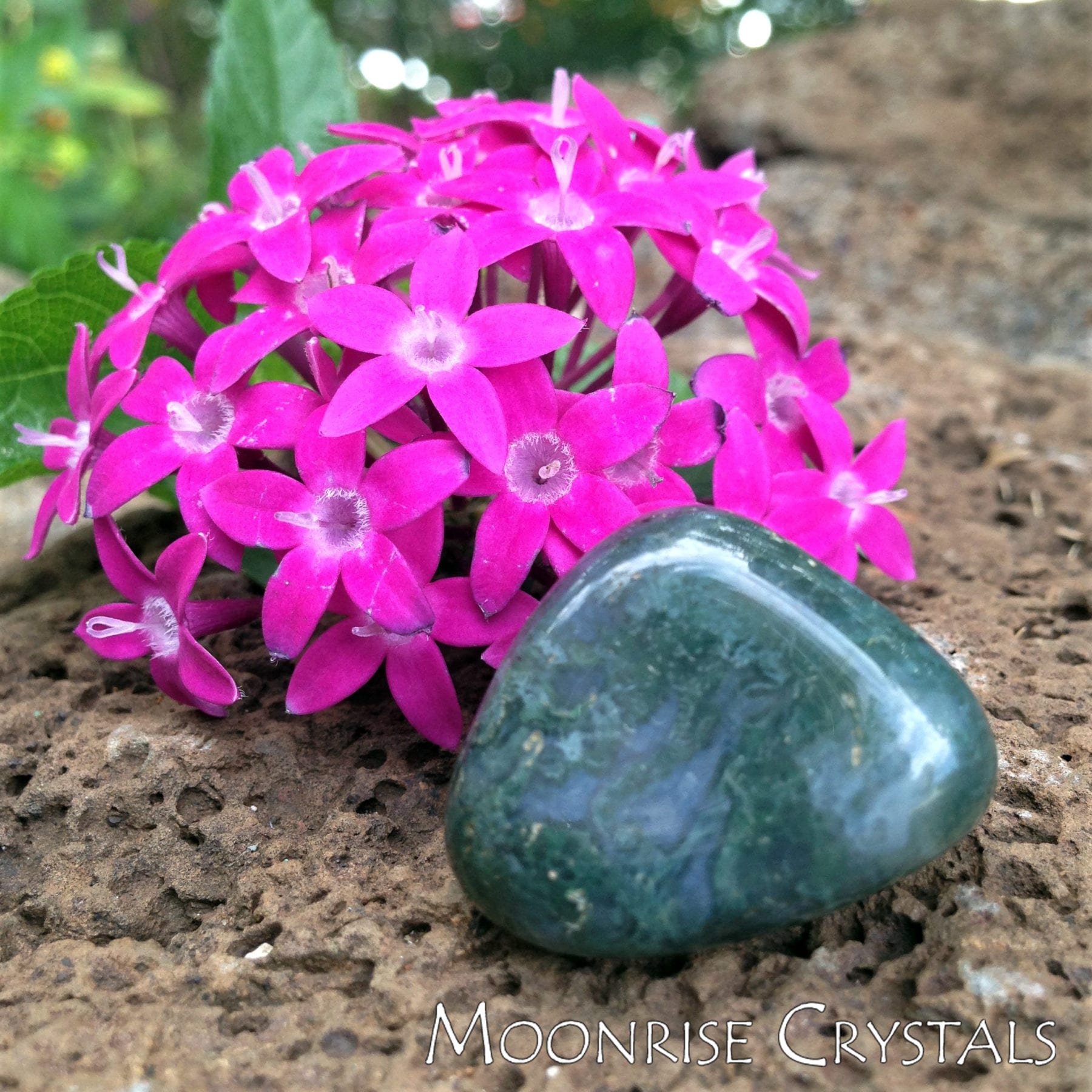 Moss Agate with pink flowers