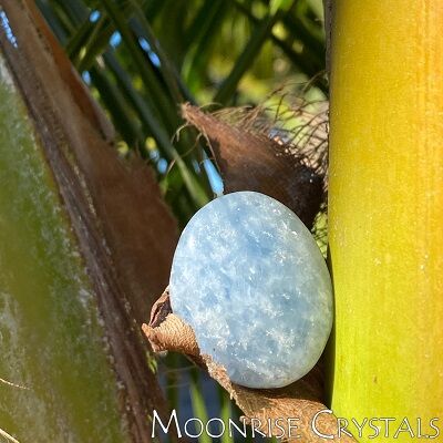 Blue Calcite over a coconut tree