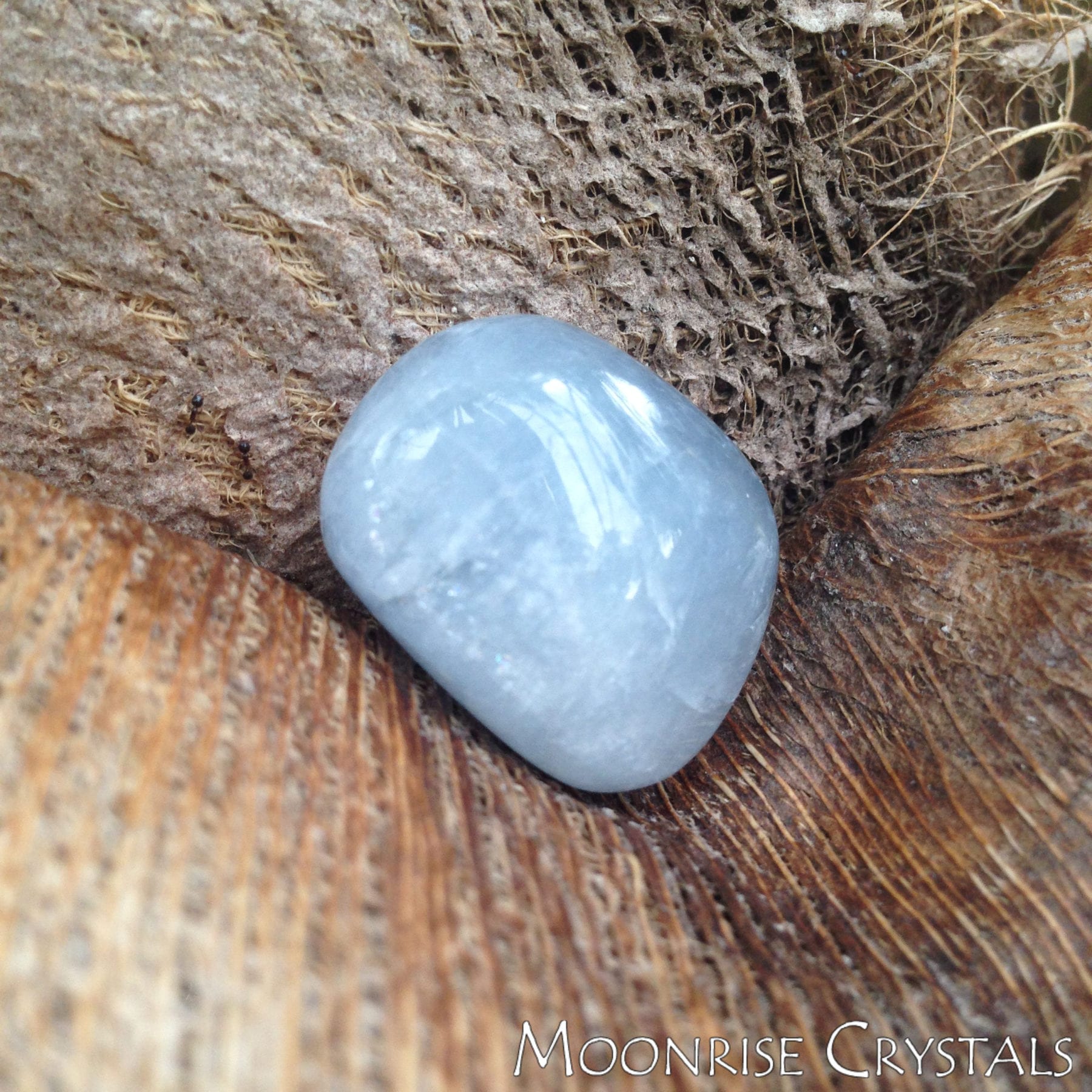 Tumbled Celestine shining bright blue against a brown textured background