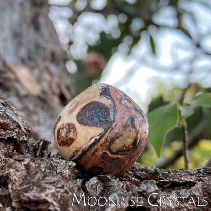 Jaguar Stone Feel Love Crystals Moonrise Crystals