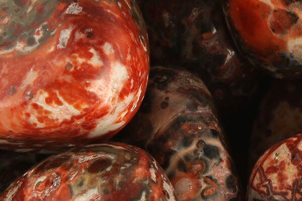 Close up of tumbled Leopardskin Jasper