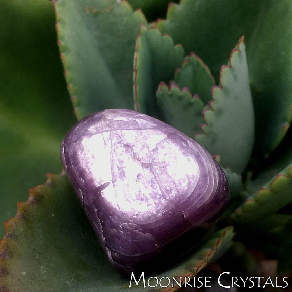 Lepidolite with bright shine sitting among plant leaves