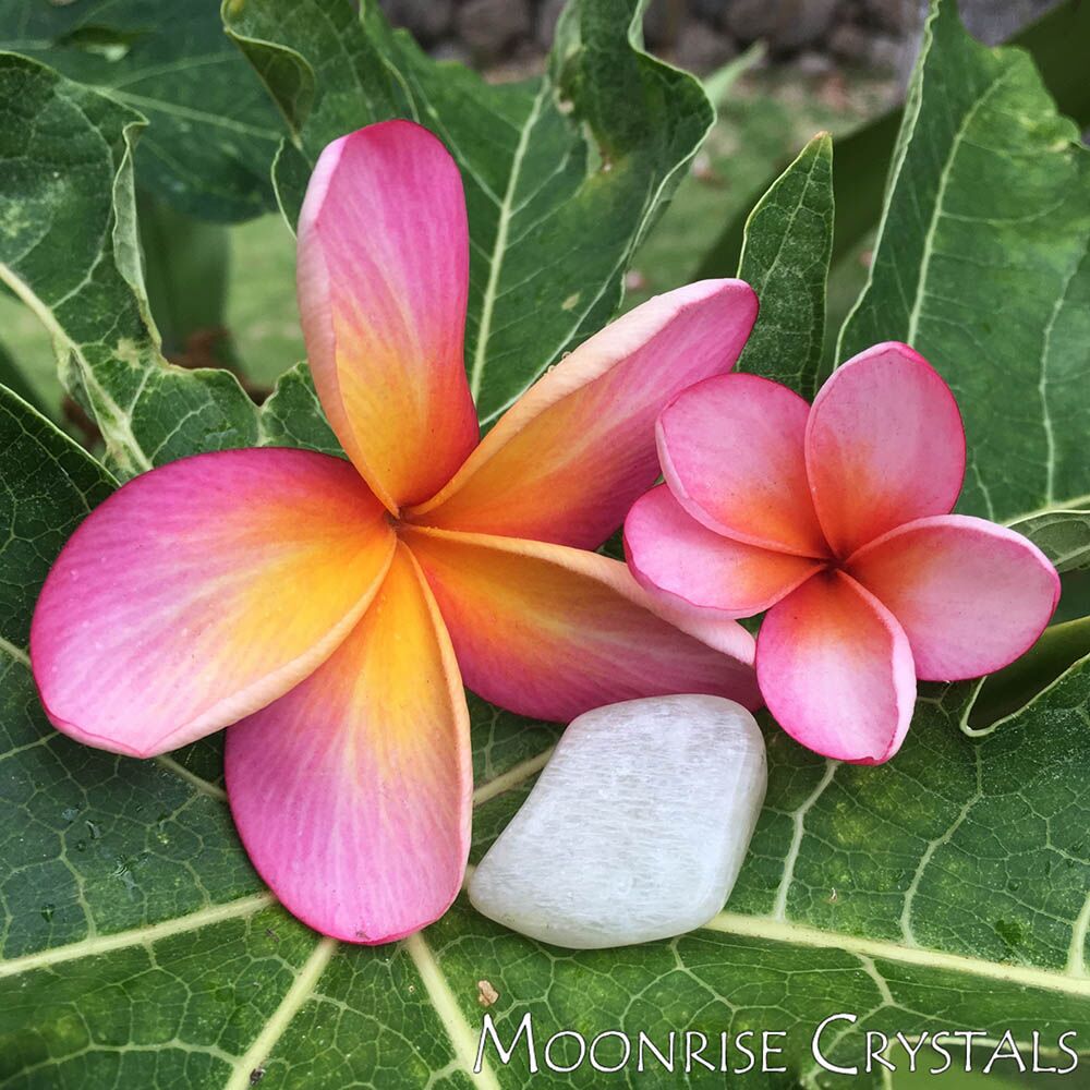 Moonstone with pink flower