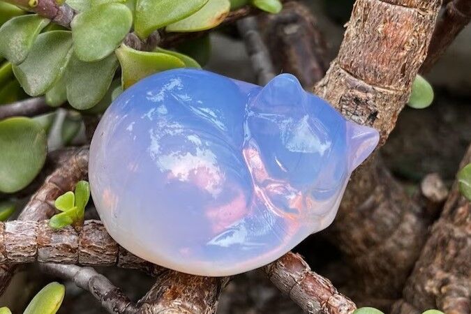 Pink Opalite Cat