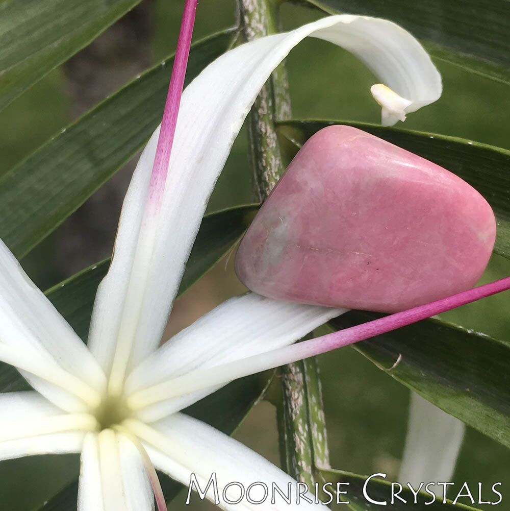 Rhodonite with a white flower