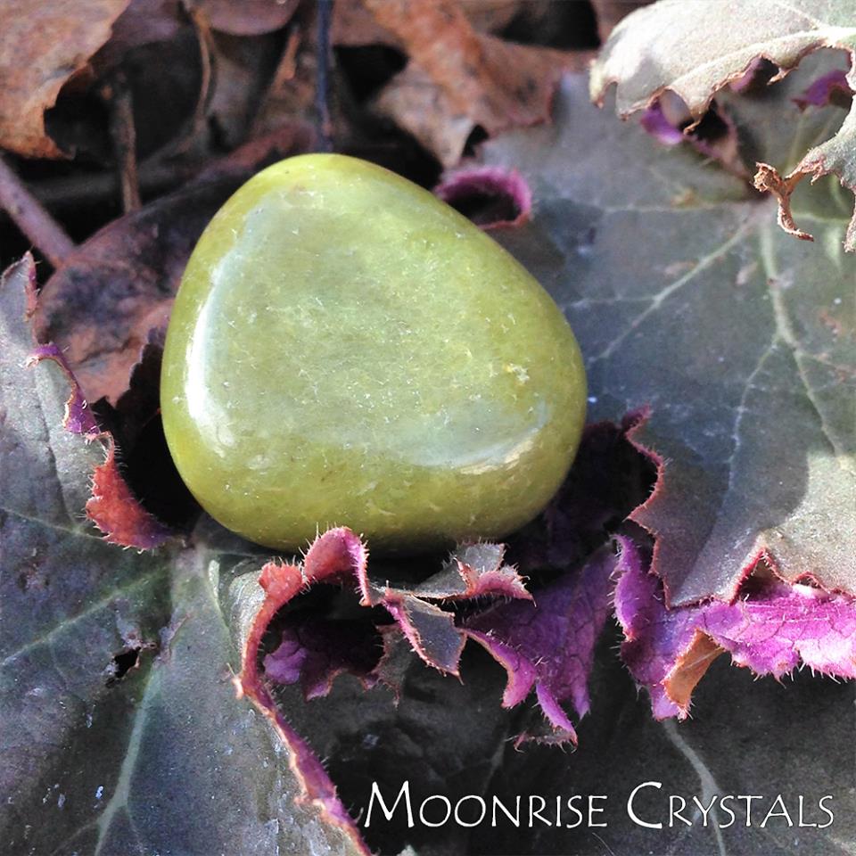 Serpentine with purple leaves