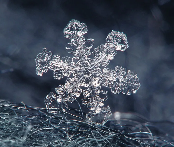 Close up of a beautiful snowflake