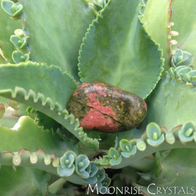 Unakite over a plant