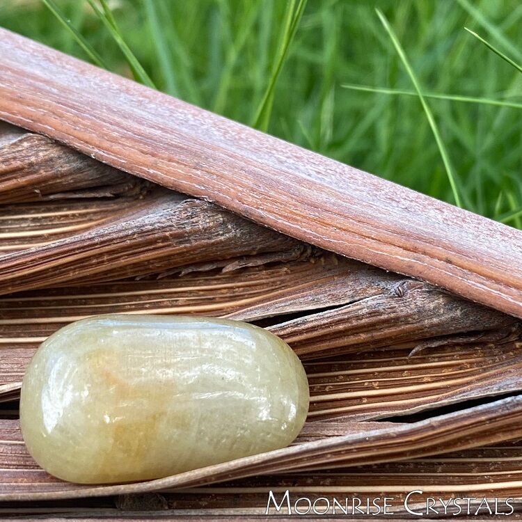 Yellow Sapphire against an old palm leaf