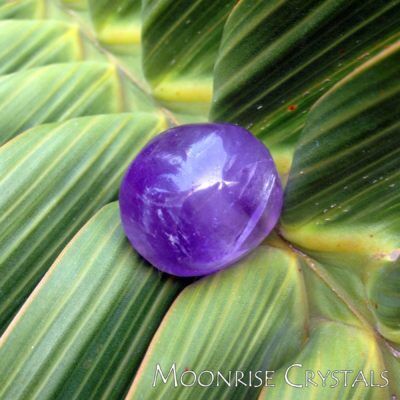 Amethyst on a leaf