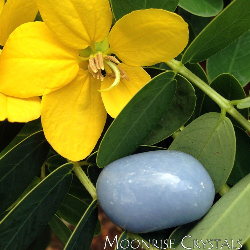 Angelite with a yellow flower