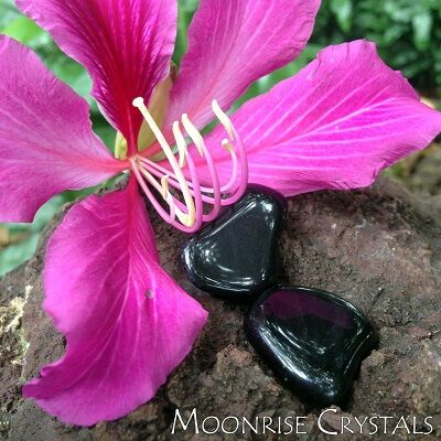 Two tumbled Apache Tear Obsidians with pink flower