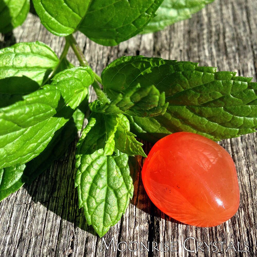 Carnelian next to mint leaves