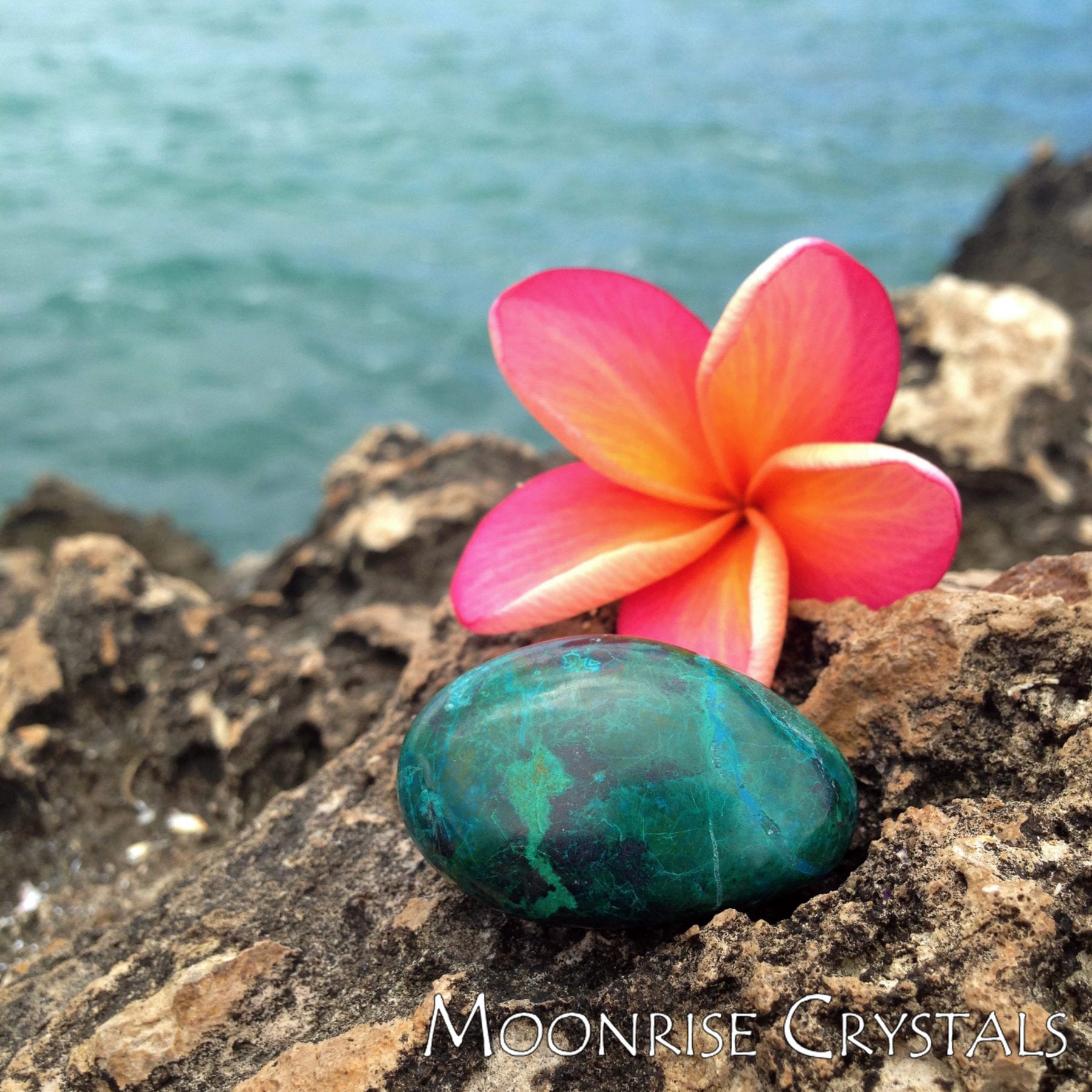 Chrysocolla with plumeria flower