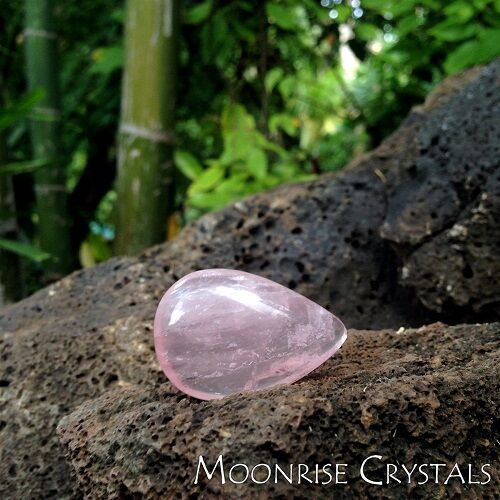Rose Quartz on lava rock with bamboo in the background