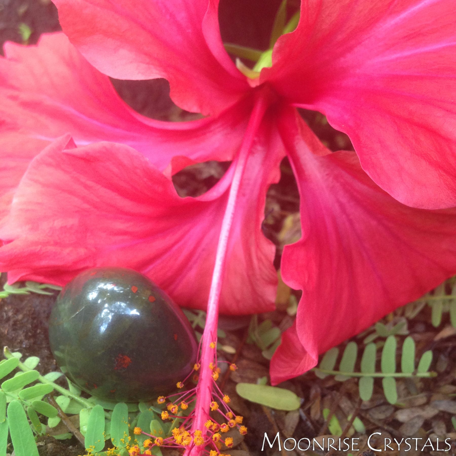Bloodstone with red hibiscus flower