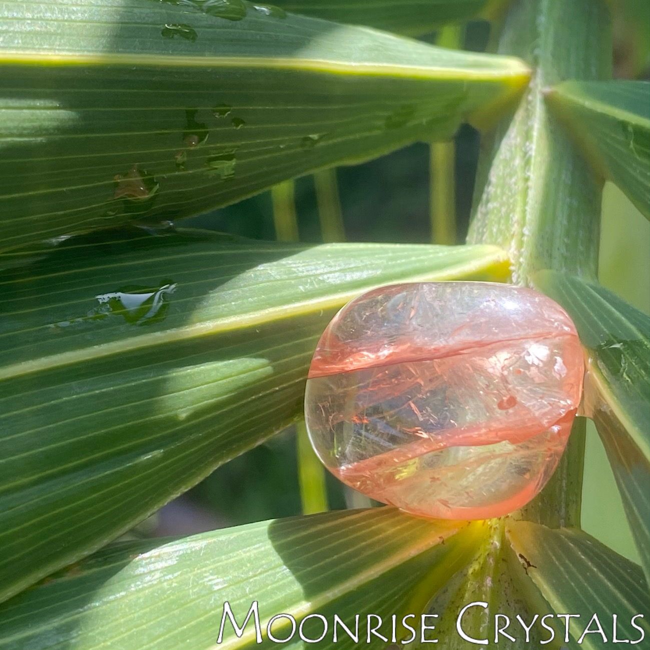 Hematite-Quartz-Feel-Loved-Moonrise-Crystals Hematite Quartz Feel Loved Moonrise Crystals