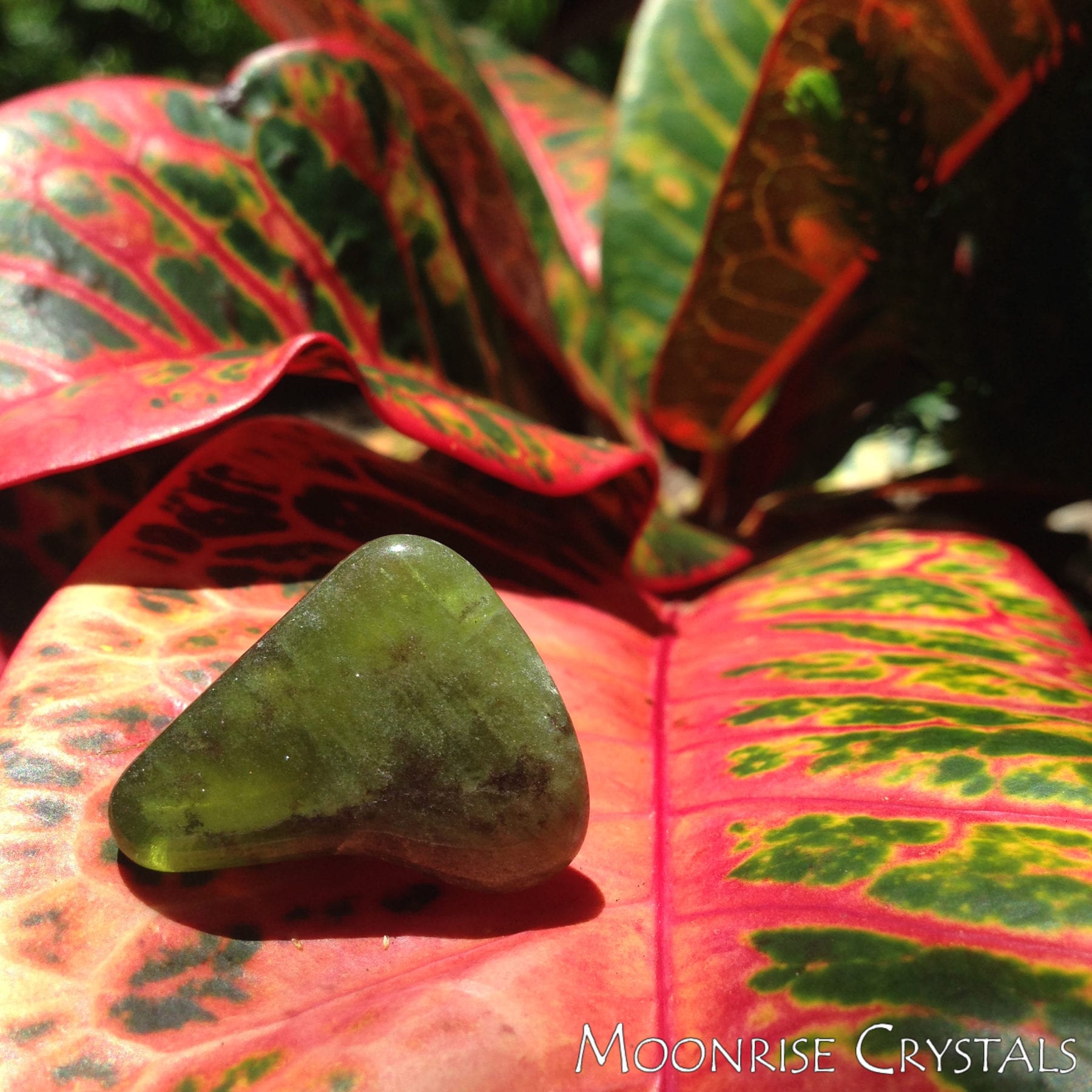 Idocrase-Feel-Loved-Crystals-Moonrise-Crystals Idocrase on a red and green leaf