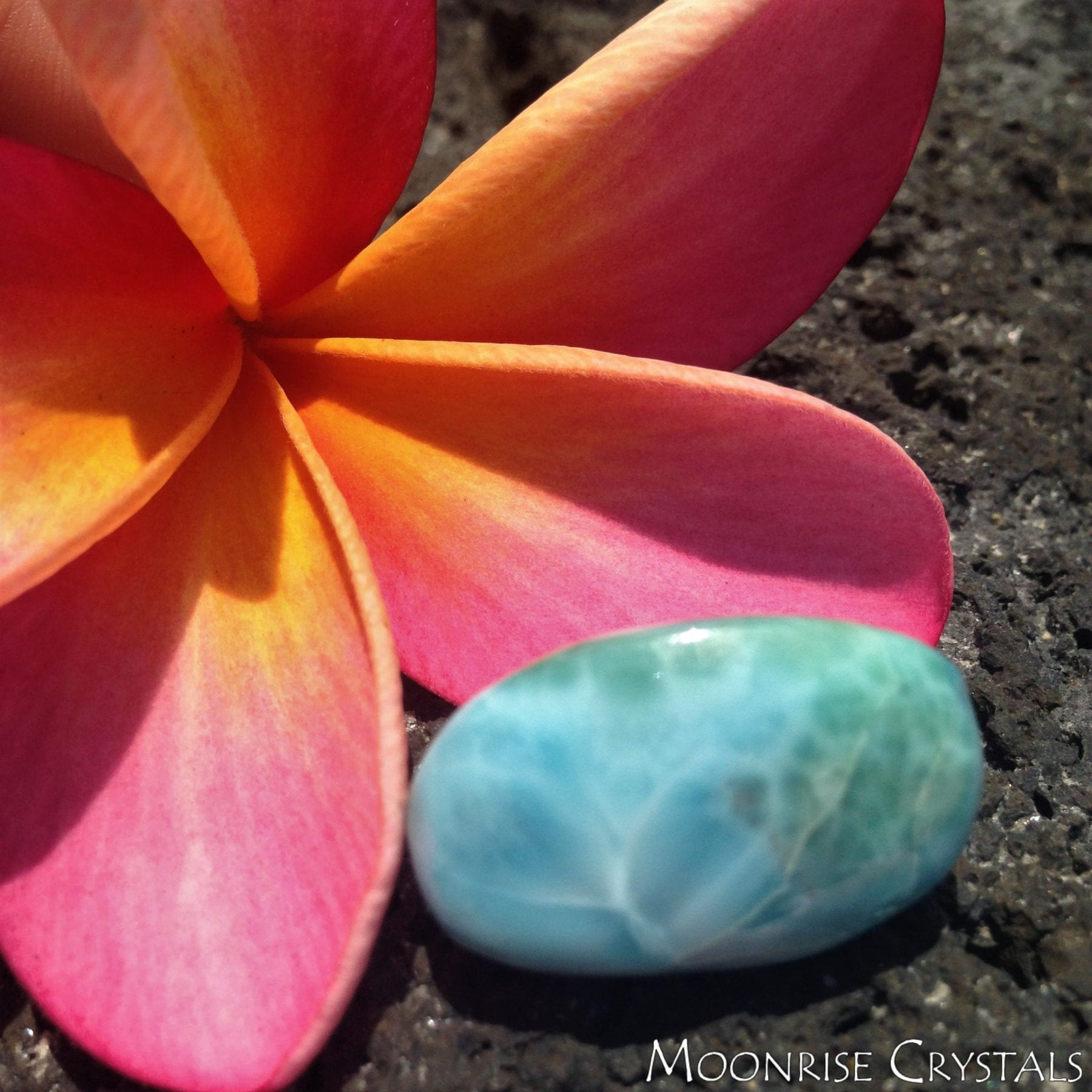 Larimar-Feel-Loved-Crystals-Moonrise-Crystals Larimar with pink plumeria flower