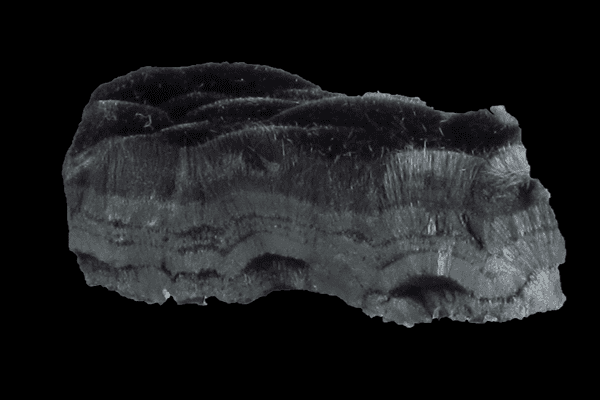 Example of a Psilomelane mined in New Mexico, USA