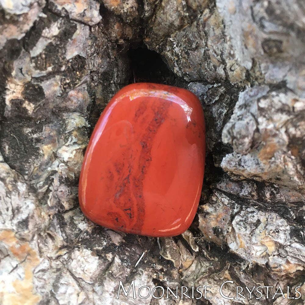 Closeup of Red Jasper stone on bark