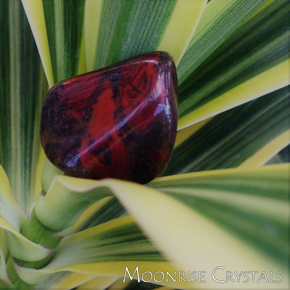 Stromatolite Feel Loved Crystals Moonrise Crystals