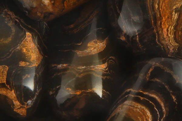 Close up of tumbled Stromatolite