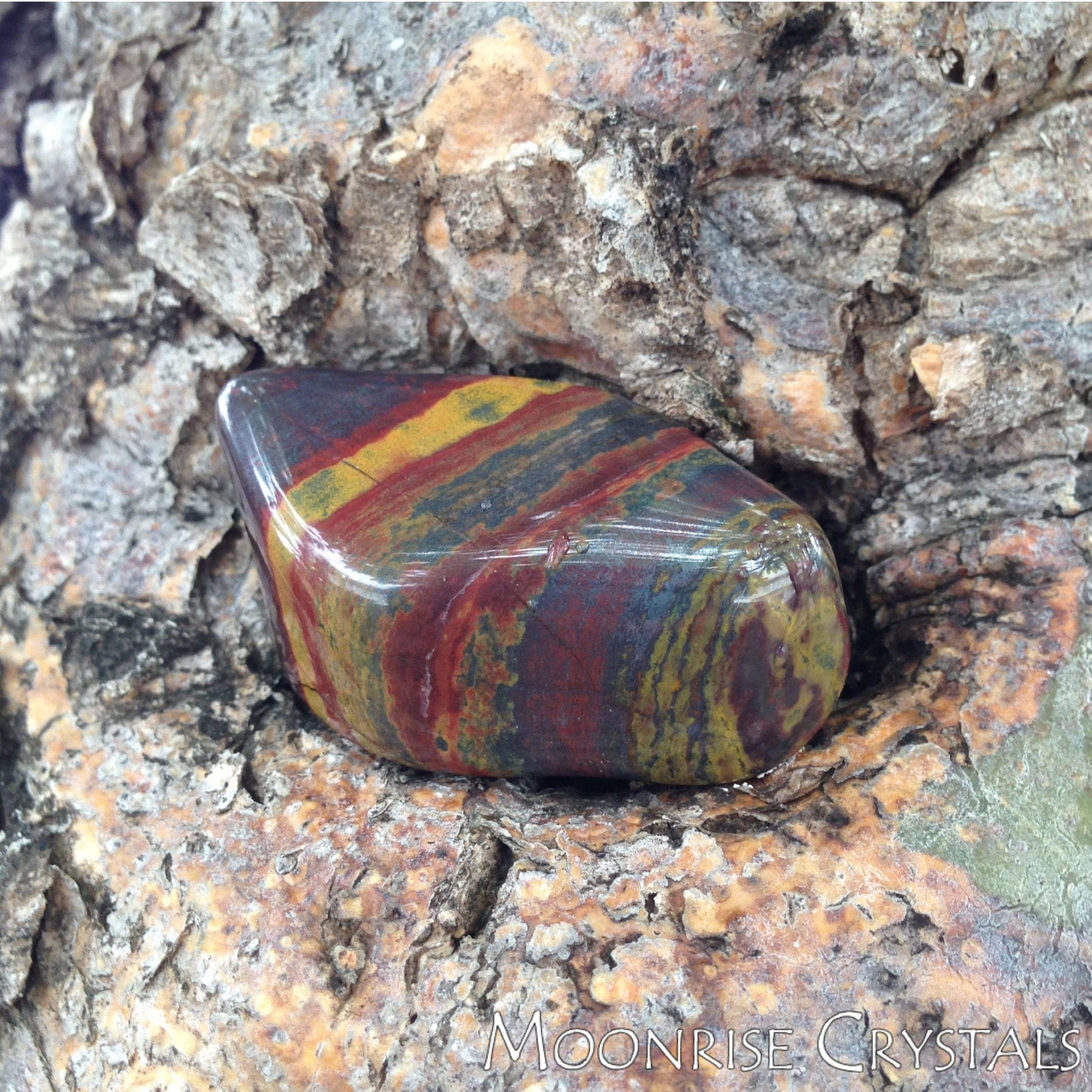 Close up of tumbled striped Tiger Iron with a bark background