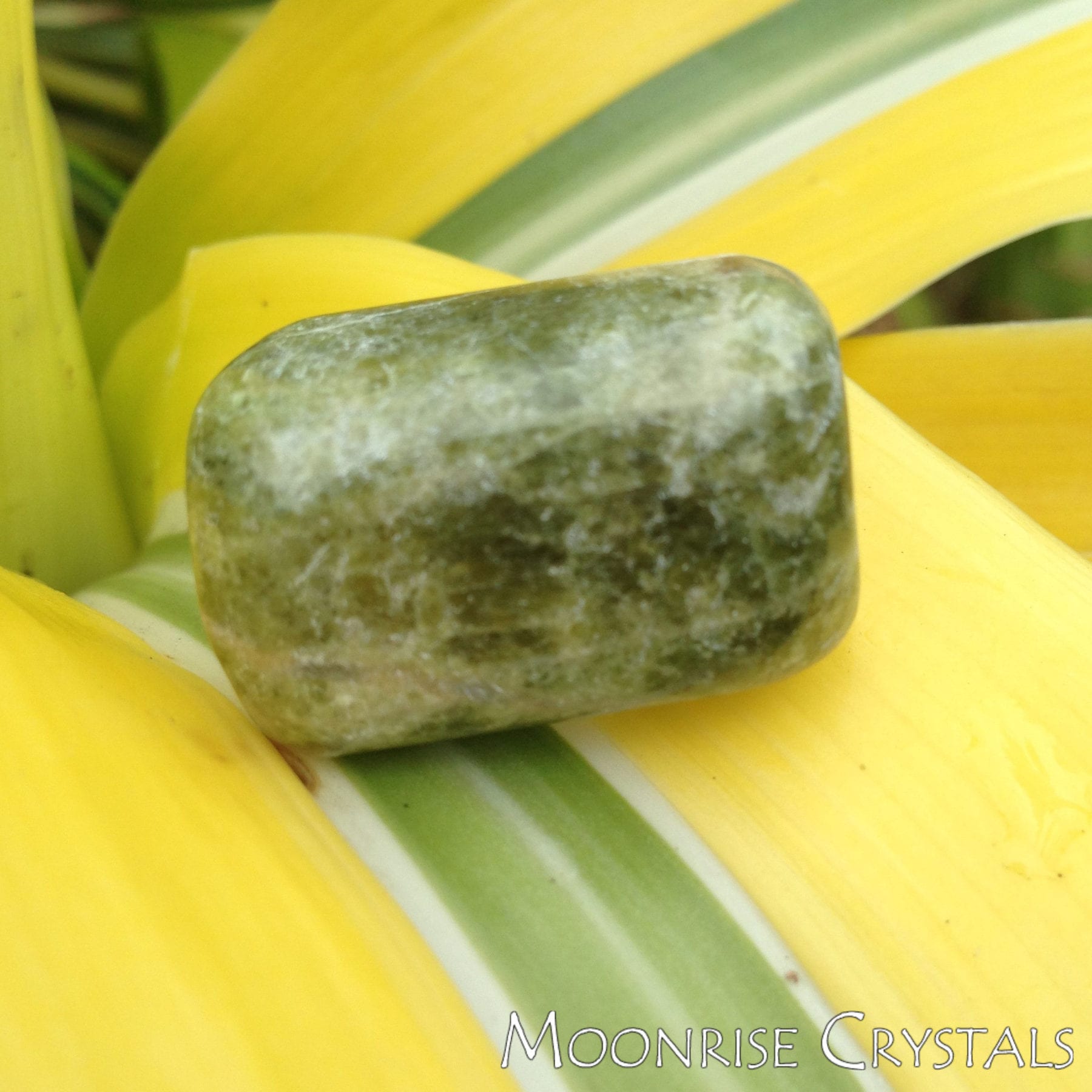 Vesuvianite Feel Loved Crystals Moonrise Crystals
