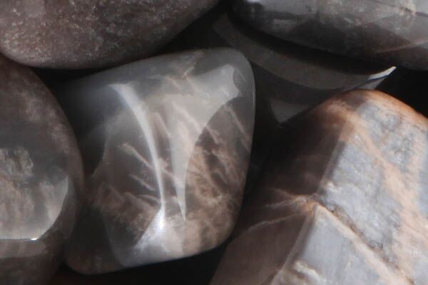 Close up of tumbled Black Moonstone