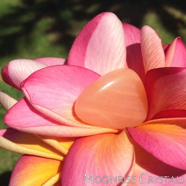 Peach Moonstone over a pink flower