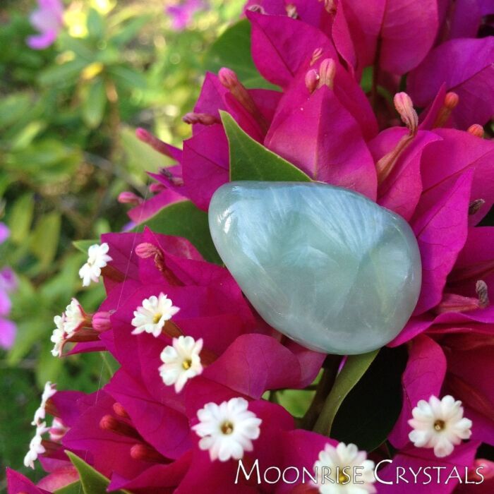 Prehnite with pink leaves and white flowers