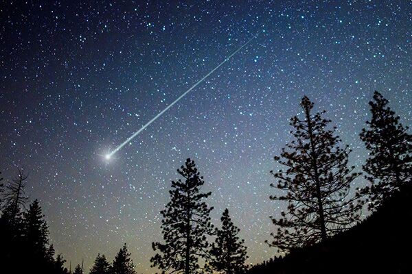 Shooting Star in a starry sky with silhouettes of trees