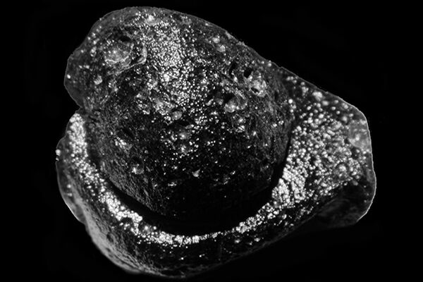 Example of a natural Tektite mined in Philippines