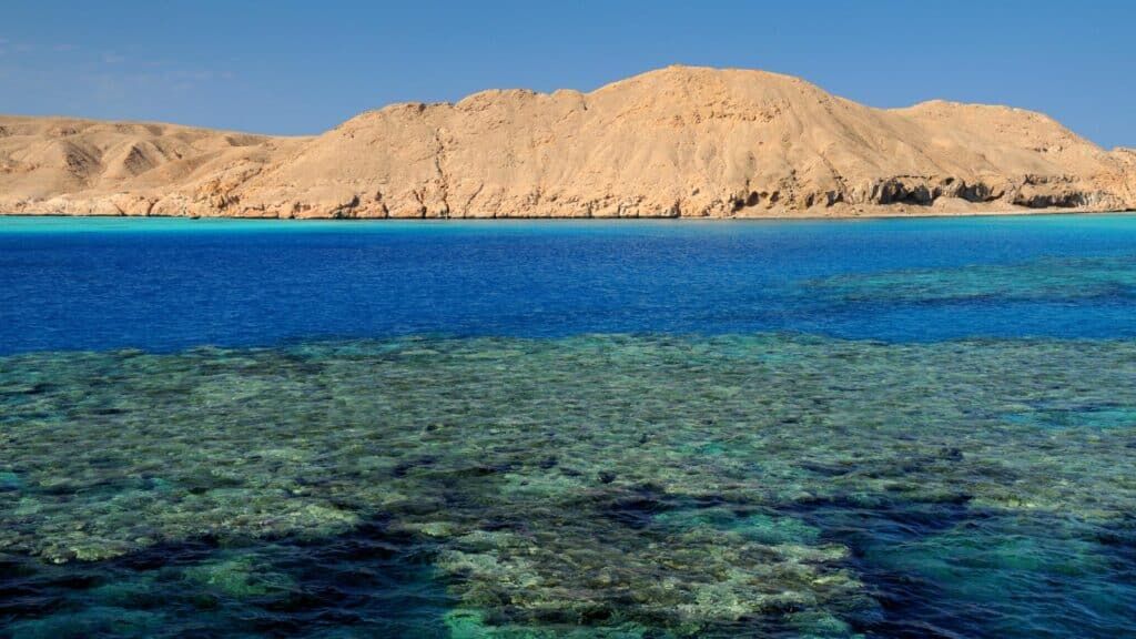 Rocky desert island in the background, bright blue ocean in the middle, green coral in the foreground.