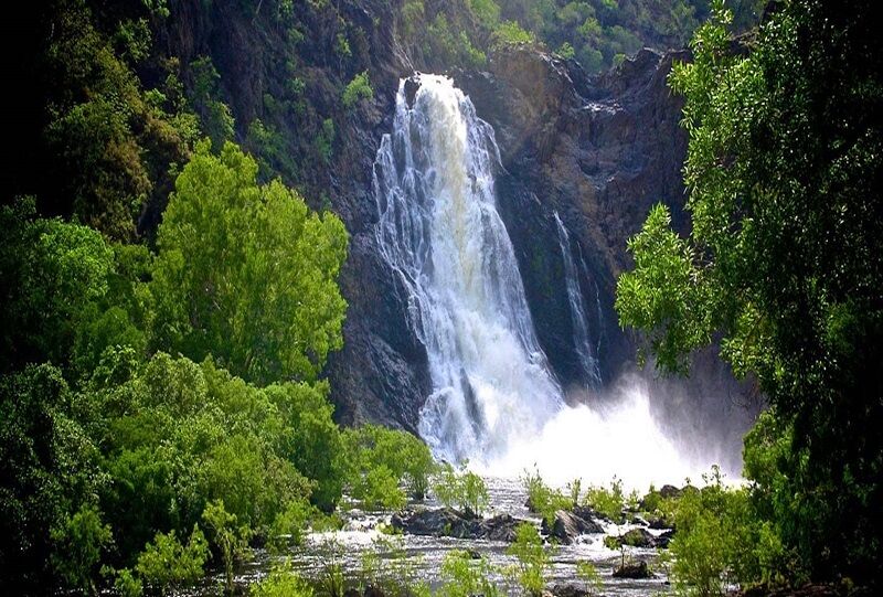 Photograph of a waterfall at Daintree Rainforest
