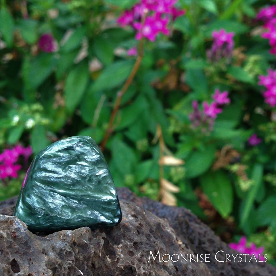 Seraphinite on a love rock with pink flowers in the background