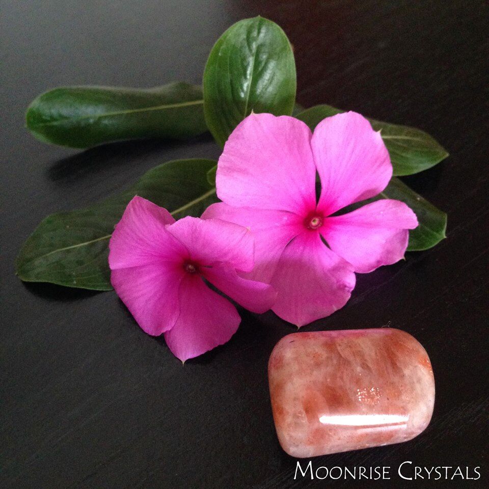 Sunstone with pink flower