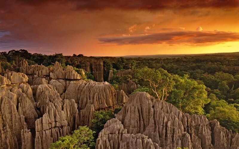 Tsingy Of Bemaraha - rocky points sticking up above the trees at sunset