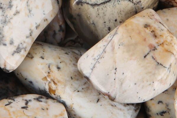 Close up of tumbled Dendritic Agate