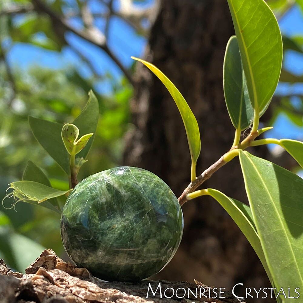 Green Opal next to new growth branch