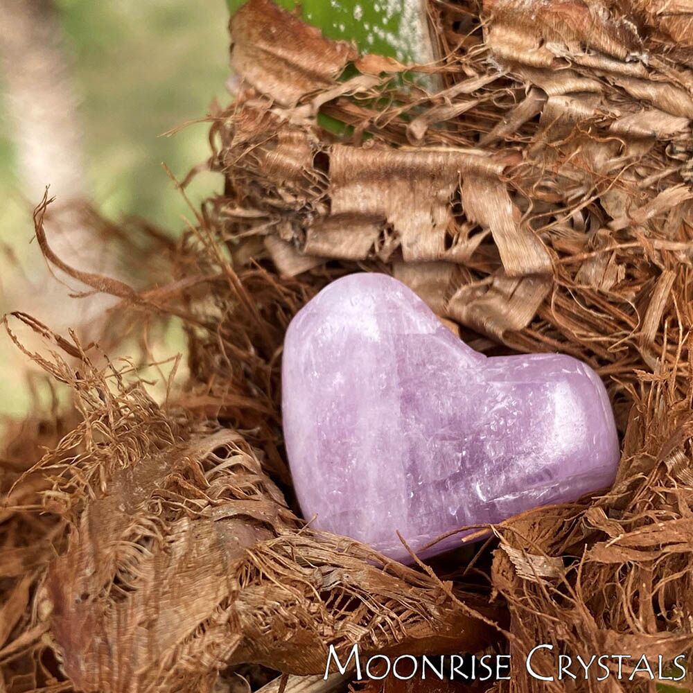 Heart-shaped Kunzite in some soft tree bark